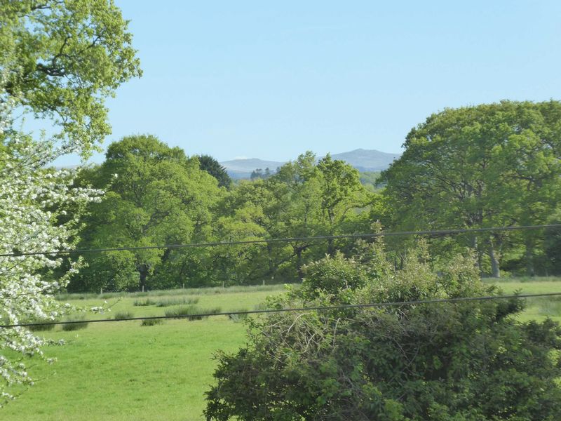 View of Dartmoor